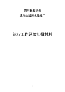 污水处理厂运营工作汇报材料