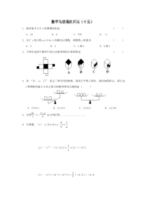 2019-2020年八年级数学上册培优强化训练15