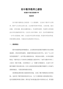 初中数学教师之感悟