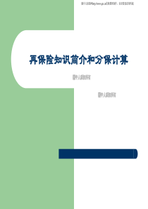 再保险知识简介和分保计算(30页)