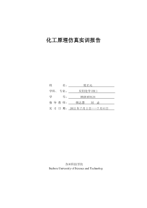 化工仿真实训报告