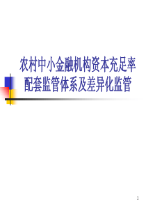 农村中小金融机构资本充足率配套监管体系及差异化监管