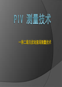 PIV-测量技术