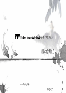 PIV原理及其应用