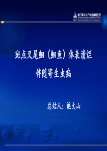 斑点叉尾鮰体表溃烂伴随寄生虫病.