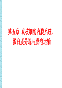 第5章真核细胞内膜系统、蛋白质分选与膜泡运输