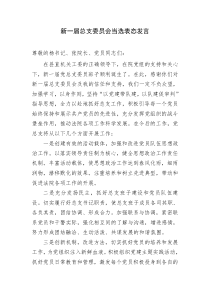 新一届总支委员会当选表态发言