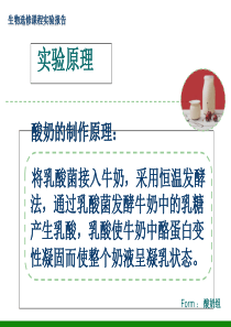 河北省高碑店市第三中学高中生物选修课之发酵技术酸奶组