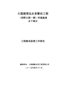 河道疏浚水下部分验收监理工作报告