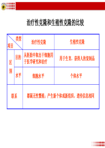 治疗性克隆和生殖性克隆的比较