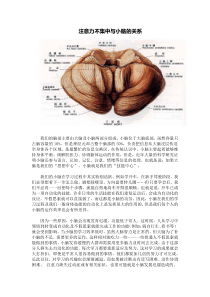 注意力不集中与小脑的关系