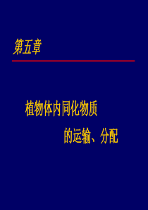 第五章 同化物的运输与分配