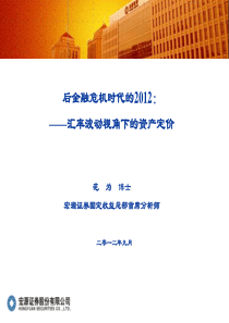 后金融危机时代的XXXX-汇率波动视角下的资产配置