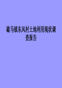 歇马镇东风村土地利用现状调查报告