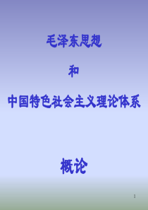 毛概教学课件chapter6