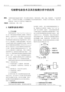 毛细管电泳技术在检测分析中的应用