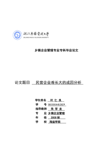 民营企业难长大的成因分析