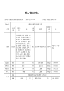 投标人一般情况表标线