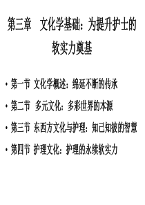 护士人文修养第三章文化学基础为提升护士的软实力奠基