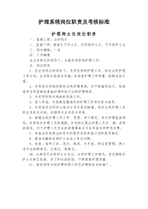 护理系统岗位职责及考核标准Word文档