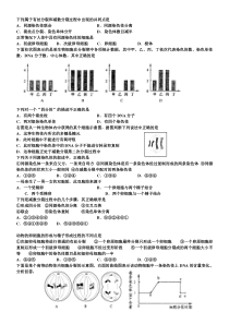 有丝分裂和减数分裂过程中出现的相关试题