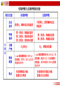 有氧呼吸与无氧呼吸的比较