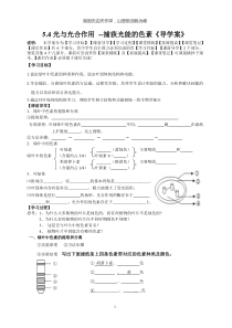 捕获光能的色素和结构导学案