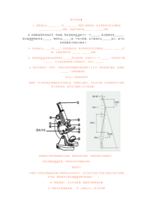 望远镜和显微镜学案