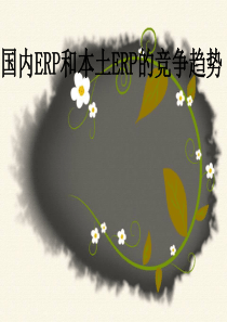 本土ERP与国外ERP的区别