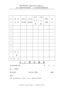 西藏天路交通-工程人工费月报表