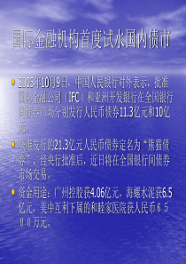 国际金融机构首度试水国内债市(ppt13)(1)