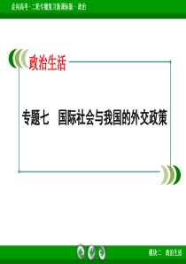 政治生活专题七国际社会与我国的外交政策.