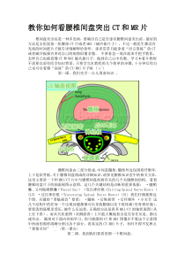 林业局机关支部典型事迹材料