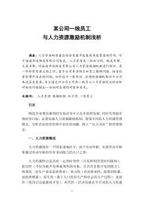 某公司一线员工与人力资源激励机制浅析