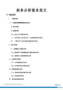 某财务分析报告范文