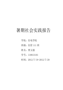 新农村社会实践报告