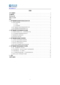 新平戛洒镇民俗旅游文化开发方案研究