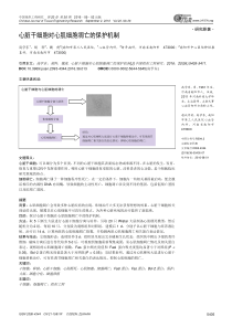 心脏干细胞对心肌细胞凋亡的保护机制