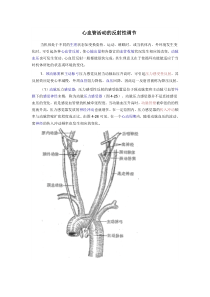 心血管活动的反射性调节