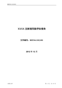 新版注射液风险评估报告