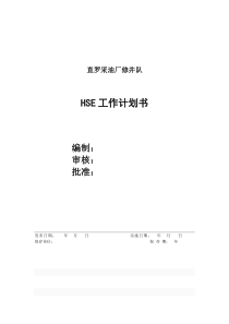 新直罗修井大队HSE工作计划书