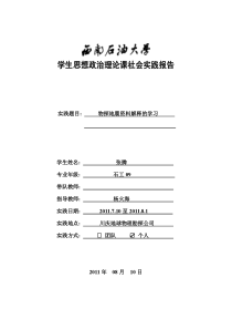 思想政治理论课社会实践报告