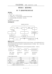 新课标高中生物专题复习必修II第4基因的表达-基因指导蛋白质的合成