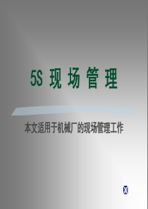 5S-适用机械厂现场管理