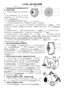 生物七年级生物上册识图题-带答案