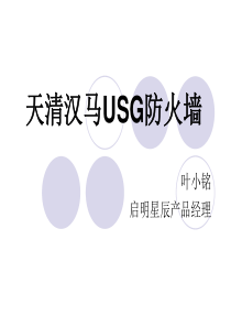 启明星辰USG防火墙