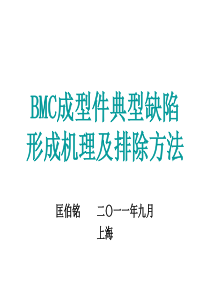 BMC成型件典型缺陷