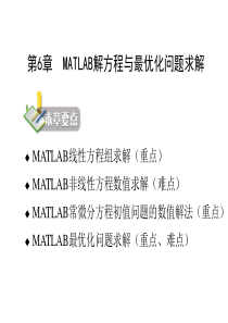 第6章--MATLAB解方程与最优化