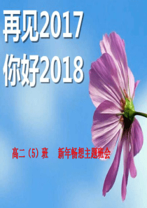 2018新年畅想主题班会