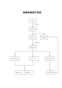 梅毒检测操作流程